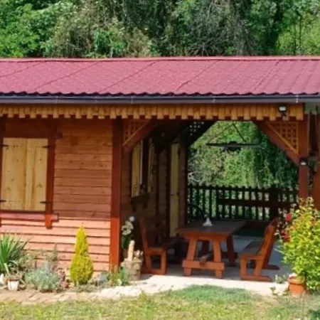 Brvnara Petkovic Holiday home *